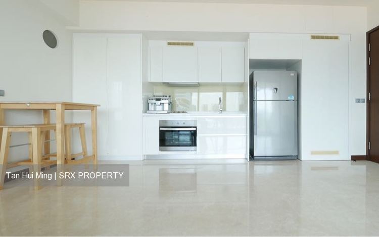 Spottiswoode Residences (D2), Condominium #212273491